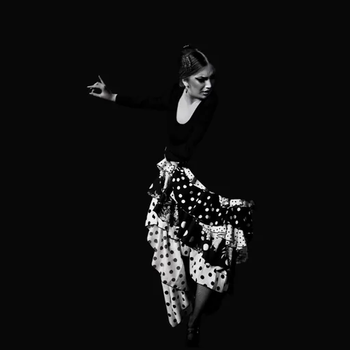 Flamenco Con Ana Guerrero